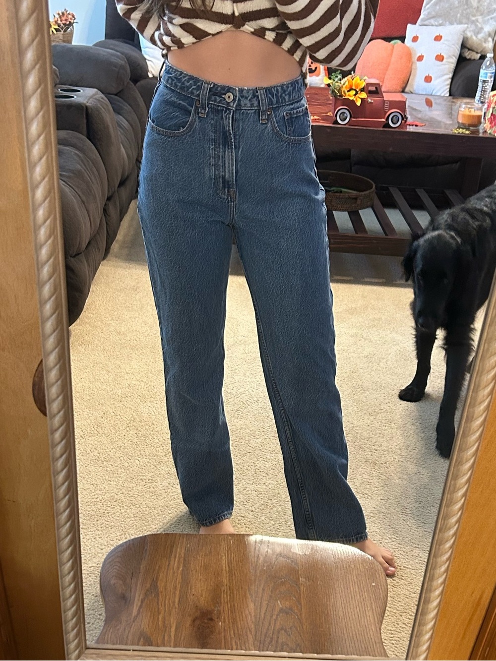Abercrombie & Fitch Curve Love The Loose High Rise Size 26